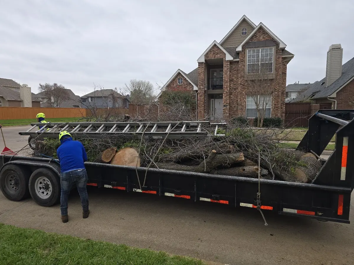 Expert Tree Removal with proper safety equipment in Fitzpatrick
